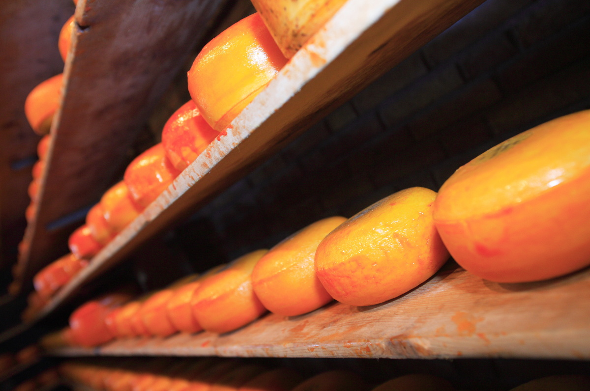 Sýrová farma Alida Hoeve a výrobna dřeváků