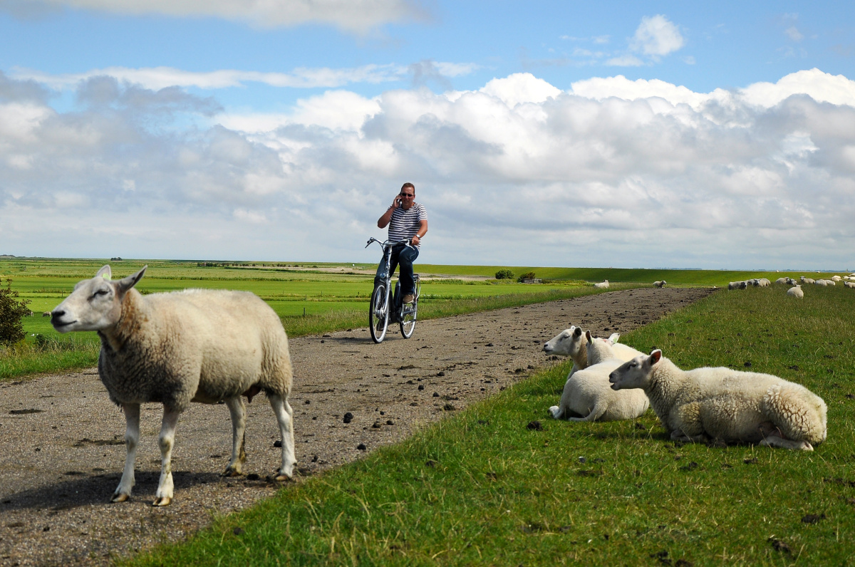 Ameland - Ostrov tuleňů, písečných dun a oáza klidu