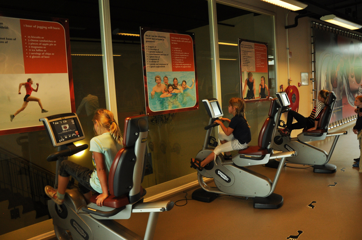 Corpus – projděte se po lidském těle