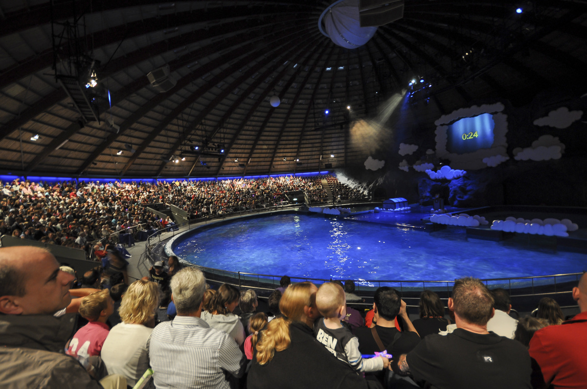 Delfinárium – největší mořský zoopark v Evropě