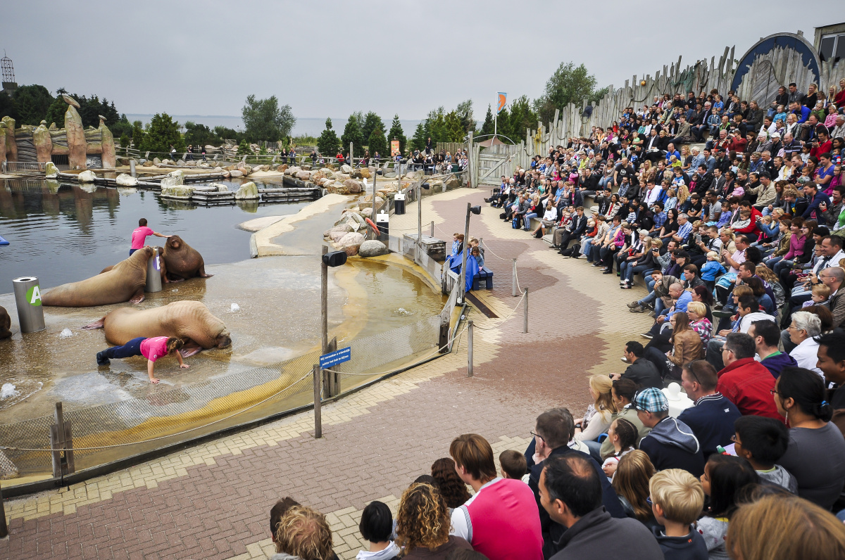 Delfinárium – největší mořský zoopark v Evropě