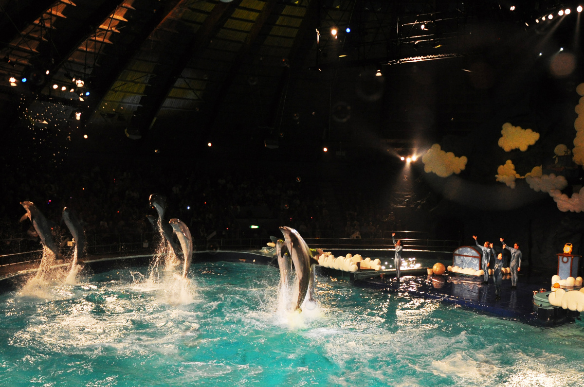 Delfinárium – největší mořský zoopark v Evropě