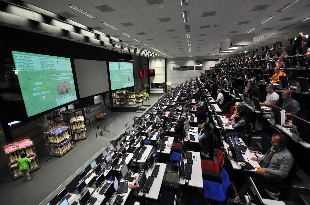 Flora Holland – Největší květinové obchodní centrum na světě