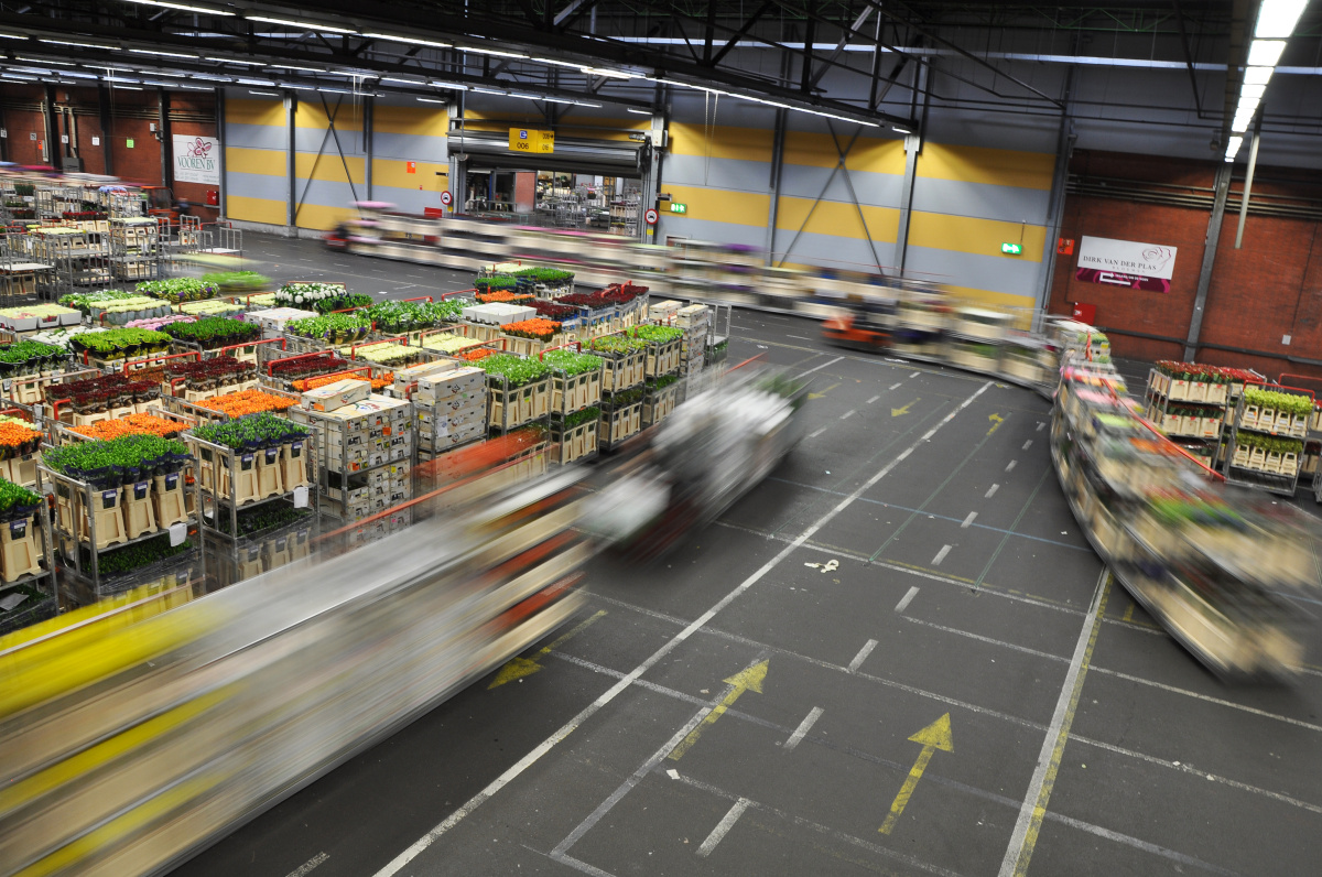 Flora Holland – Největší květinové obchodní centrum na světě