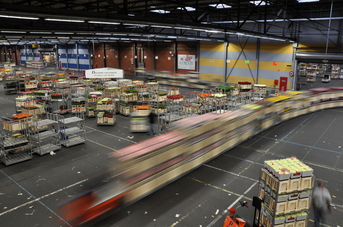 Flora Holland – Největší květinové obchodní centrum na světě