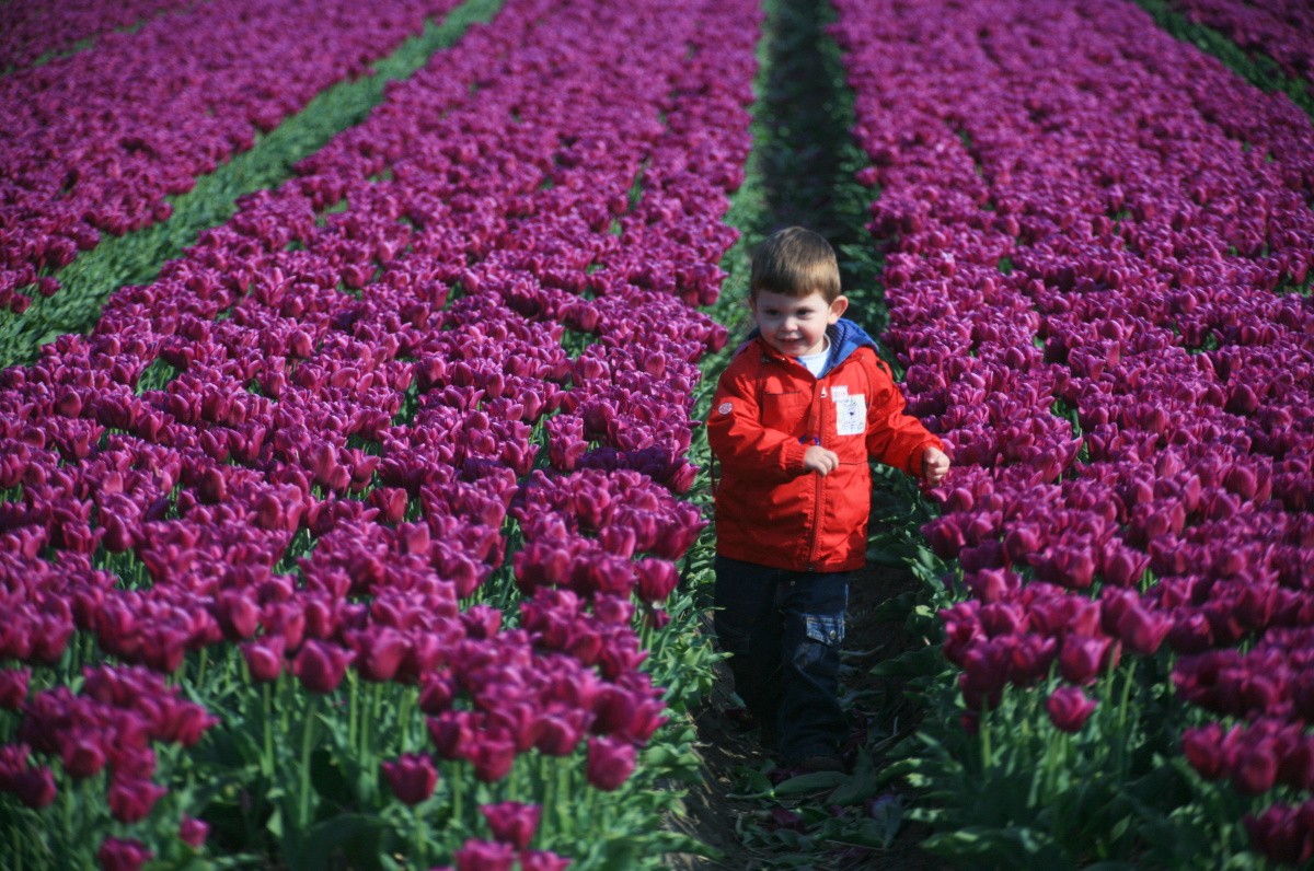 Floriade – obrovská výstava květin desetiletí