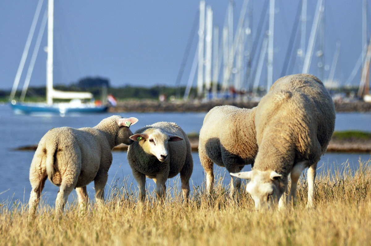 Hindeloopen – Malebné přístavní městečko, kde se zastavil čas