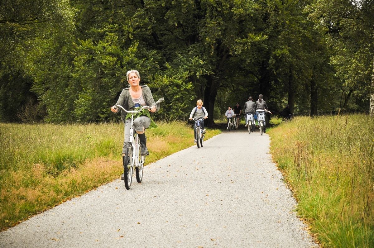 Národní park HogeVeluwe – oáza, kde se snoubí umění a příroda