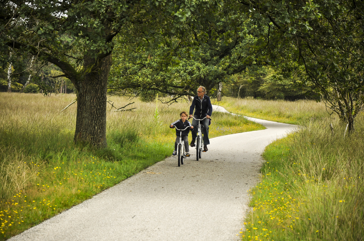 Národní park HogeVeluwe – oáza, kde se snoubí umění a příroda
