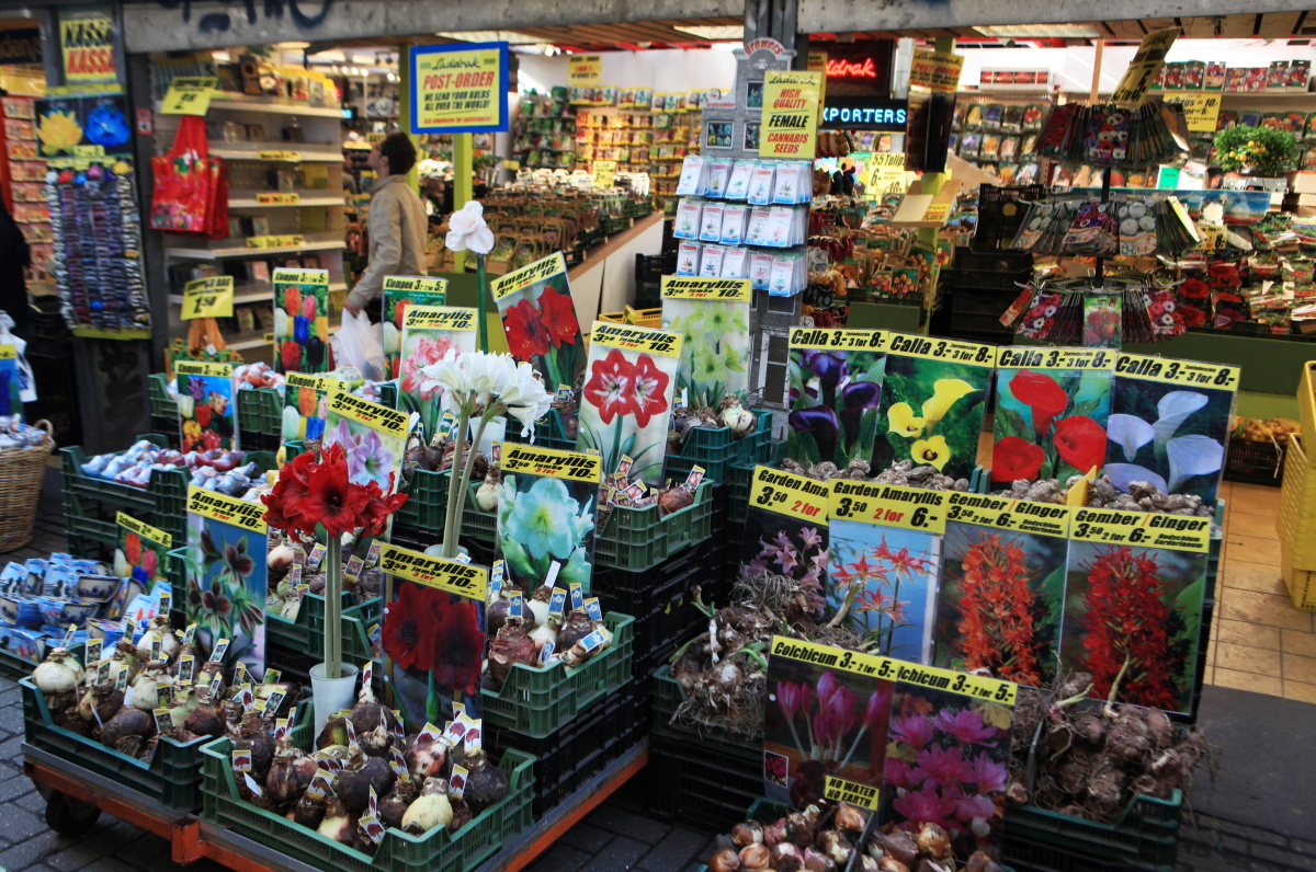 Květinový trh Singel – kvetoucí srdce Amsterdamu