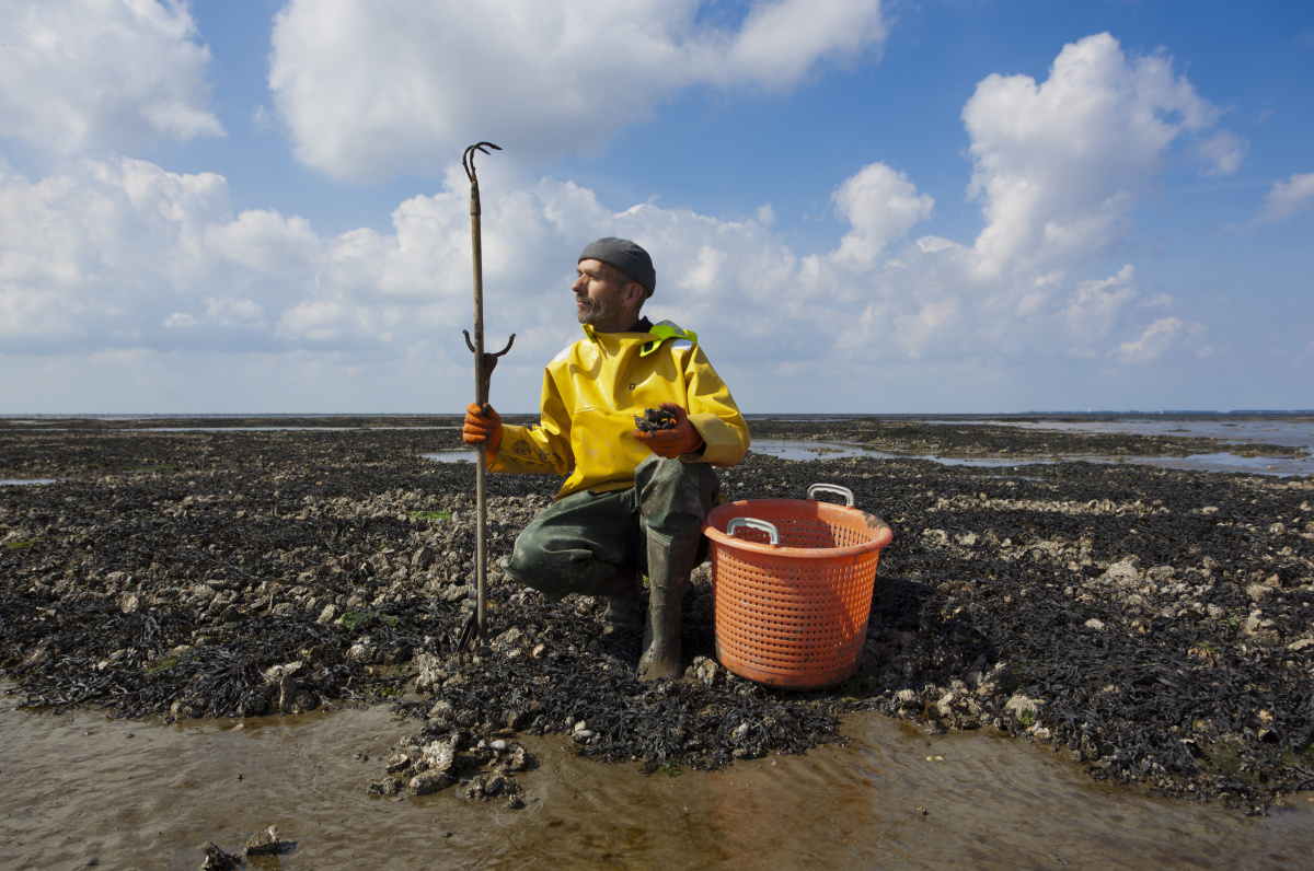 Lauwersmeer – přírodní rezervace a jezero