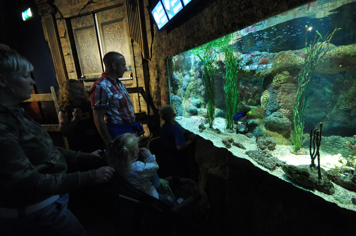 SeaLifeScheveningen – procházka po mořském dně
