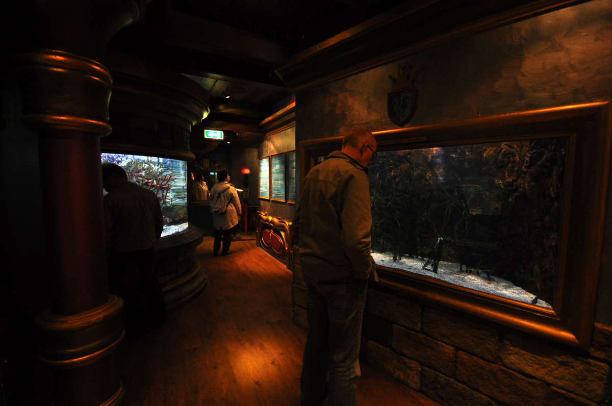 SeaLifeScheveningen – procházka po mořském dně