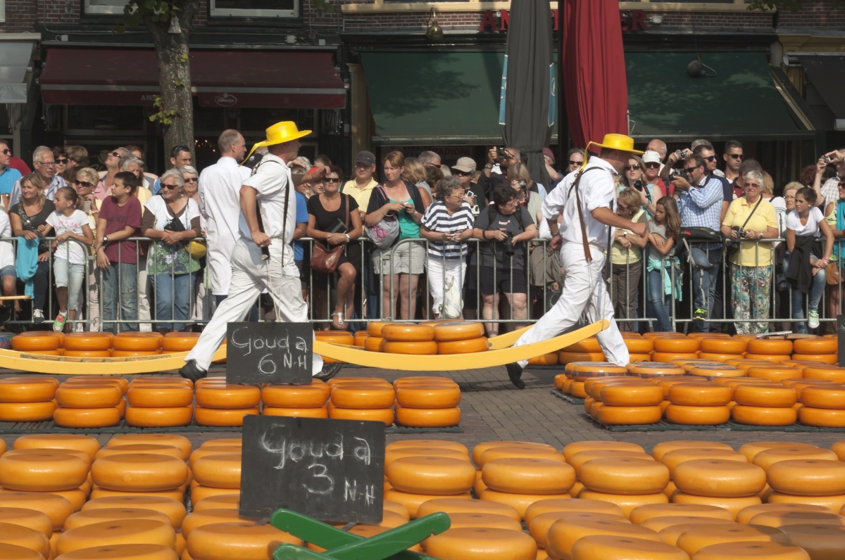 Sýrový trh v Alkmaaru