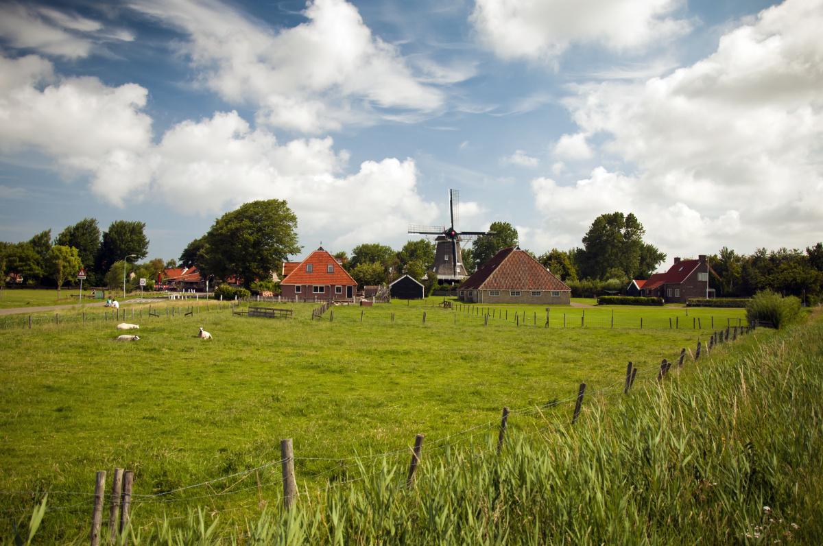 Terschelling – Ostrov nekonečných písečných pláží, brusinek a cyklostezek