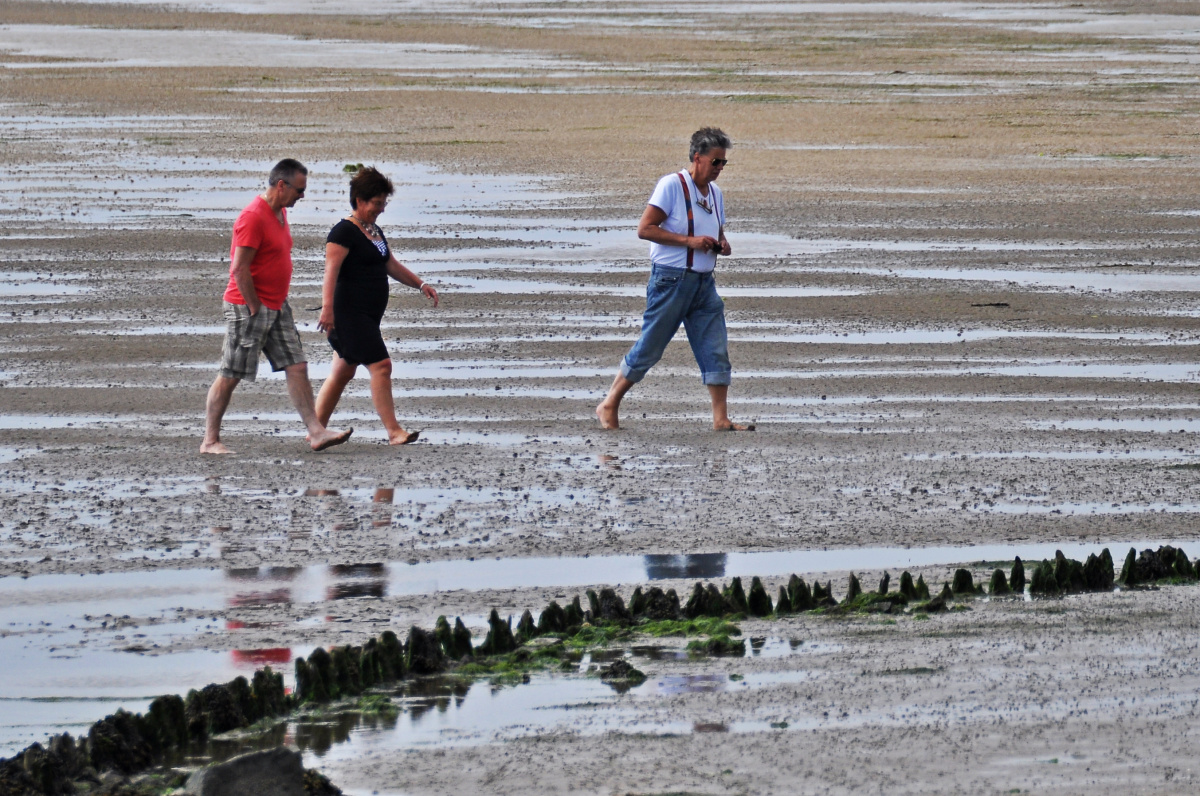 Terschelling – Ostrov nekonečných písečných pláží, brusinek a cyklostezek