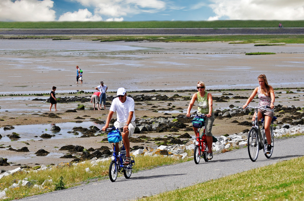 Terschelling – Ostrov nekonečných písečných pláží, brusinek a cyklostezek
