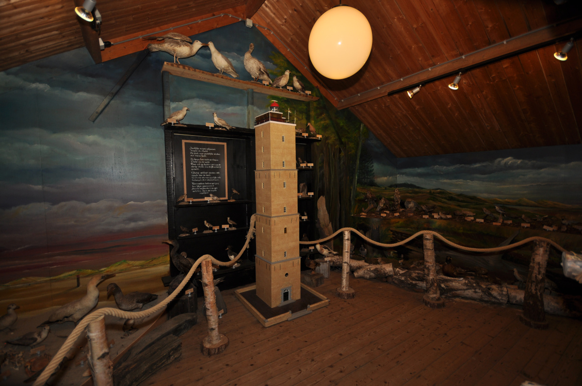 Terschelling – Ostrov nekonečných písečných pláží, brusinek a cyklostezek