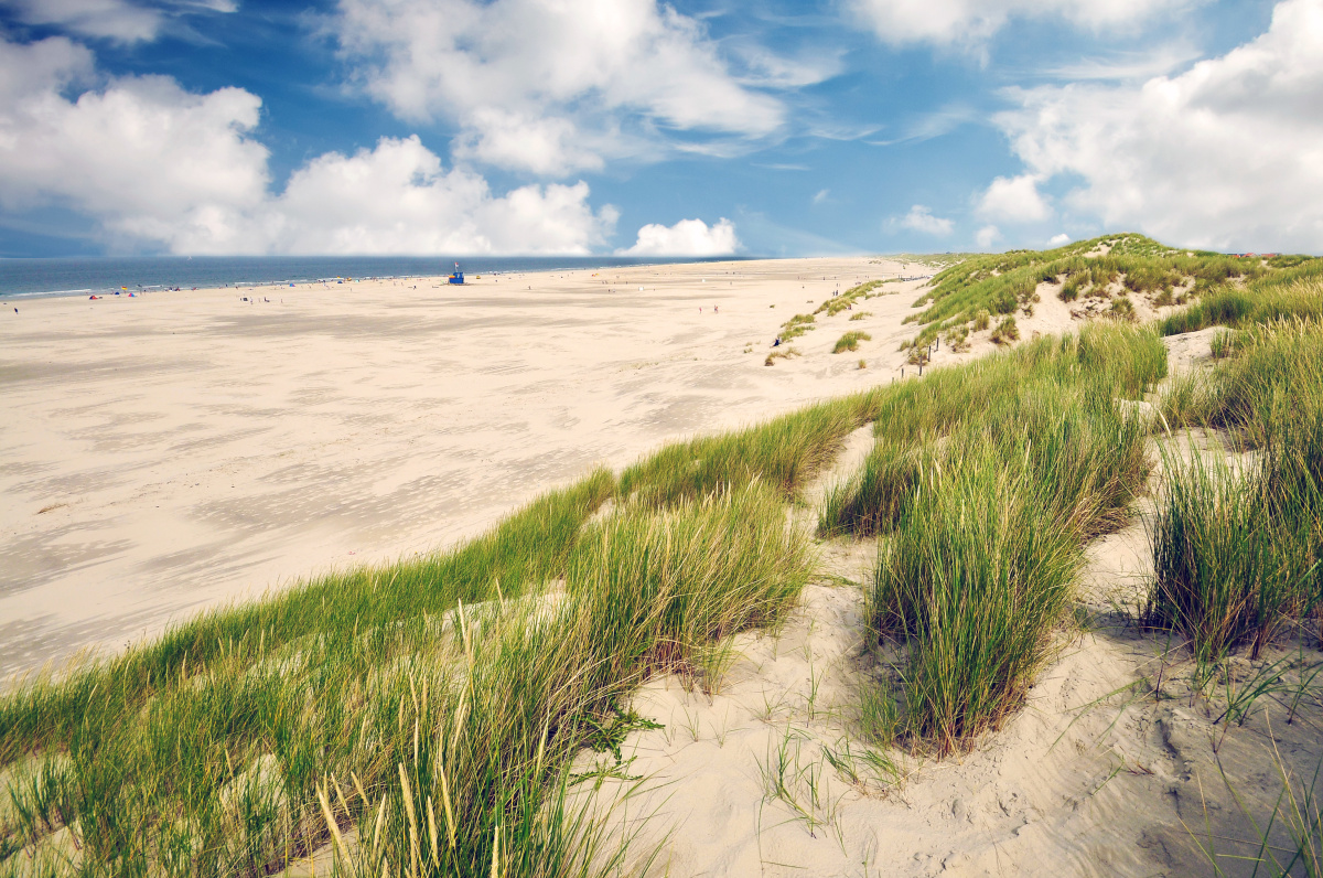 Terschelling – Ostrov nekonečných písečných pláží, brusinek a cyklostezek