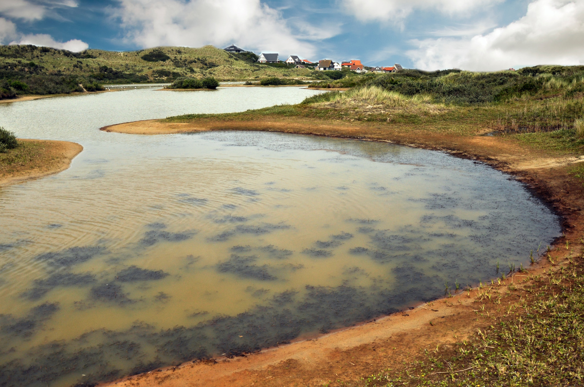 Terschelling – Ostrov nekonečných písečných pláží, brusinek a cyklostezek