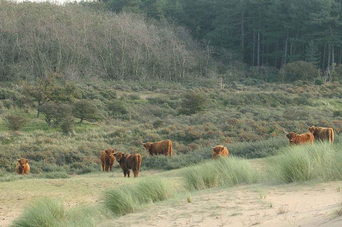 Zandvoort – živější přímořské letovisko